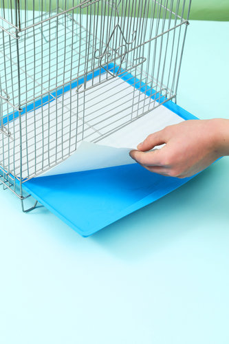 加厚鸟笼垫纸接粪纸吸水一次性鸟站架托盘垫子圆形鸟具食垫布粪垫