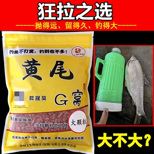 黄尾G窝大颗粒 老G 黄尾巴鲮鲴杀手饵料小药窝料打底窝料野钓专攻