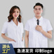 护士服收腰上衣口腔科牙科工作服薄款 医生服短袖 女长袖 白大褂短款