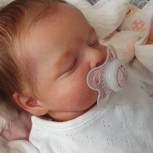 19inch reborn doll kit Rosalie 仿真婴儿重生娃娃模具 罗丽莎