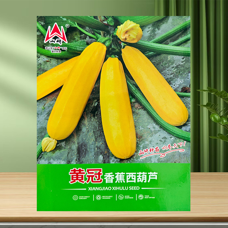 水果型西葫芦种子高产香蕉瓜黄色盆栽种籽特色营养四季阳台蔬菜孑