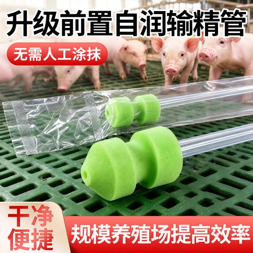 猪用输精管自带润滑剂