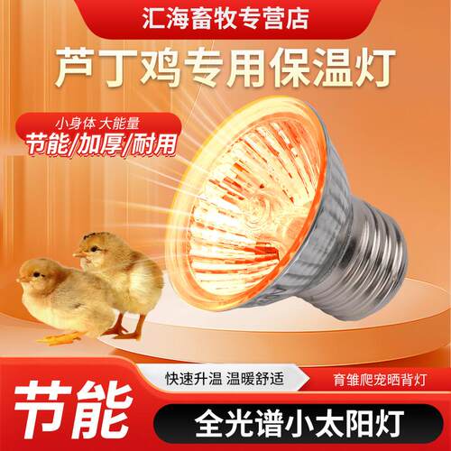 芦丁鸡保温灯养殖场专用加热灯