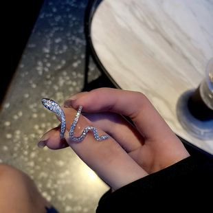 轻奢微镶锆石缠绕小蛇戒指时尚个性设计感冷淡风食指戒女装饰指环