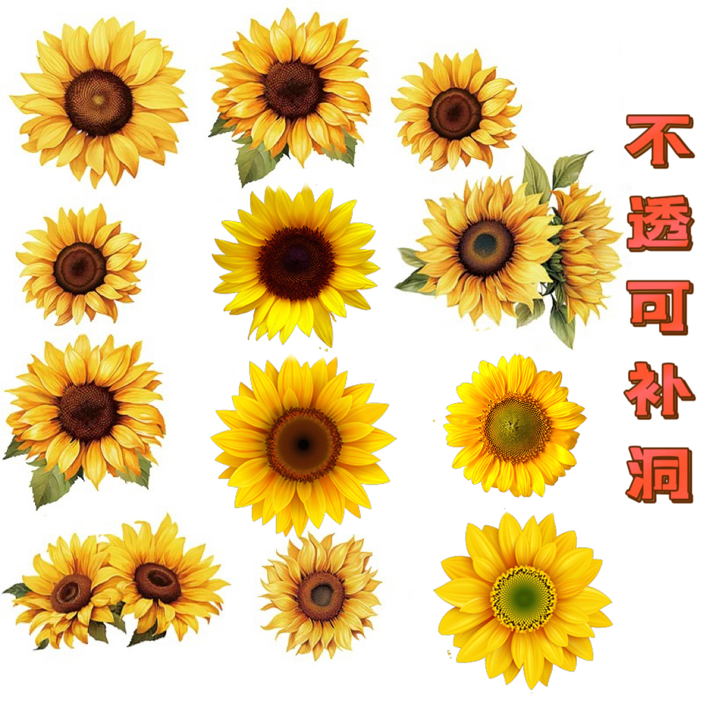 玻璃贴纸客厅墙面瑕疵遮挡防水贴花自粘花朵蝴蝶瓷砖遮丑创意贴画图片
