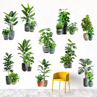 绿植小盆栽遮丑装 饰画 饰墙贴墙壁瓷砖遮瑕补洞贴花浴室防水贴画装