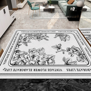 家用入户门地垫轻奢进门黑白可擦洗PVC脚垫防水防滑玄关门垫地毯