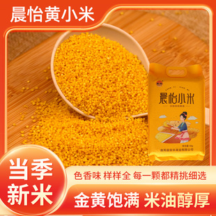 当季新米食用小米晨怡小米10斤真空装曲周特产五谷杂粮小粒米