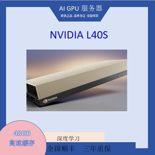 AI推理深度学习服务器工作站GPU显卡英伟达 48GB NVIDIA L40S