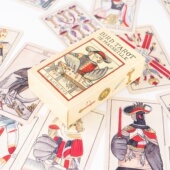 design 日本马赛鹦鹉小鸟塔罗牌 cards Marseille bird tarot