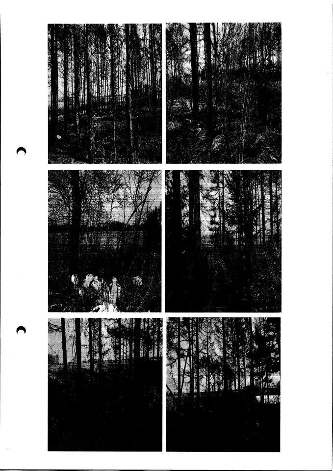 梅河口市红梅镇四八石村6块林木所有权及林地使用权（总面积为39.64亩）