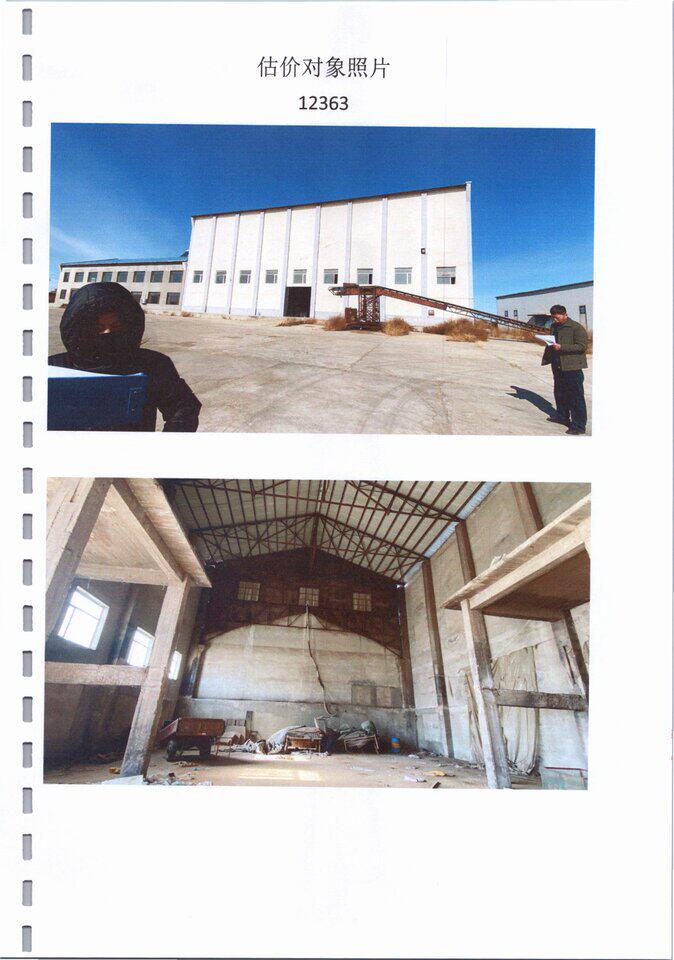 4月5日松原市粮业公司一处工业用途房地产、附属房及附属物、固定资产网络拍卖公告