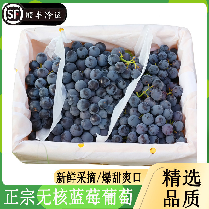 正宗新疆无籽蓝莓葡萄4斤装当季现摘无核黑提子爆甜多汁孕妇水果