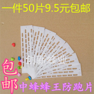 中蜂防跑片 防逃片 蜂具 防逃栅 隔王栅塑料隔王板 一件50片 包邮