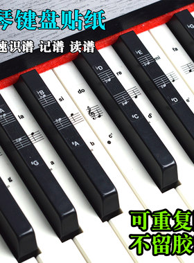五线谱钢琴键盘贴纸电子琴音阶贴