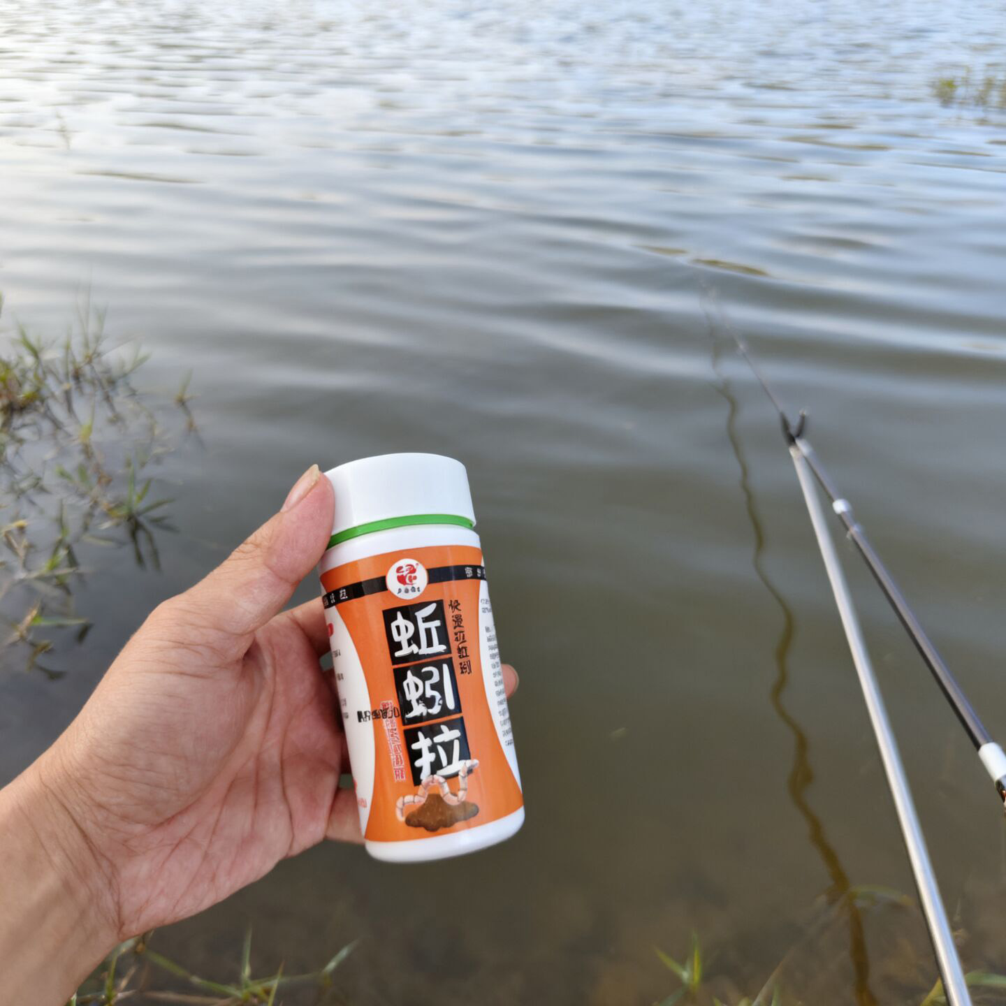 老G蚯蚓拉蚯蚓红虫秋冬黑坑野钓鲫鱼鲤鱼饵料鱼饵添加剂