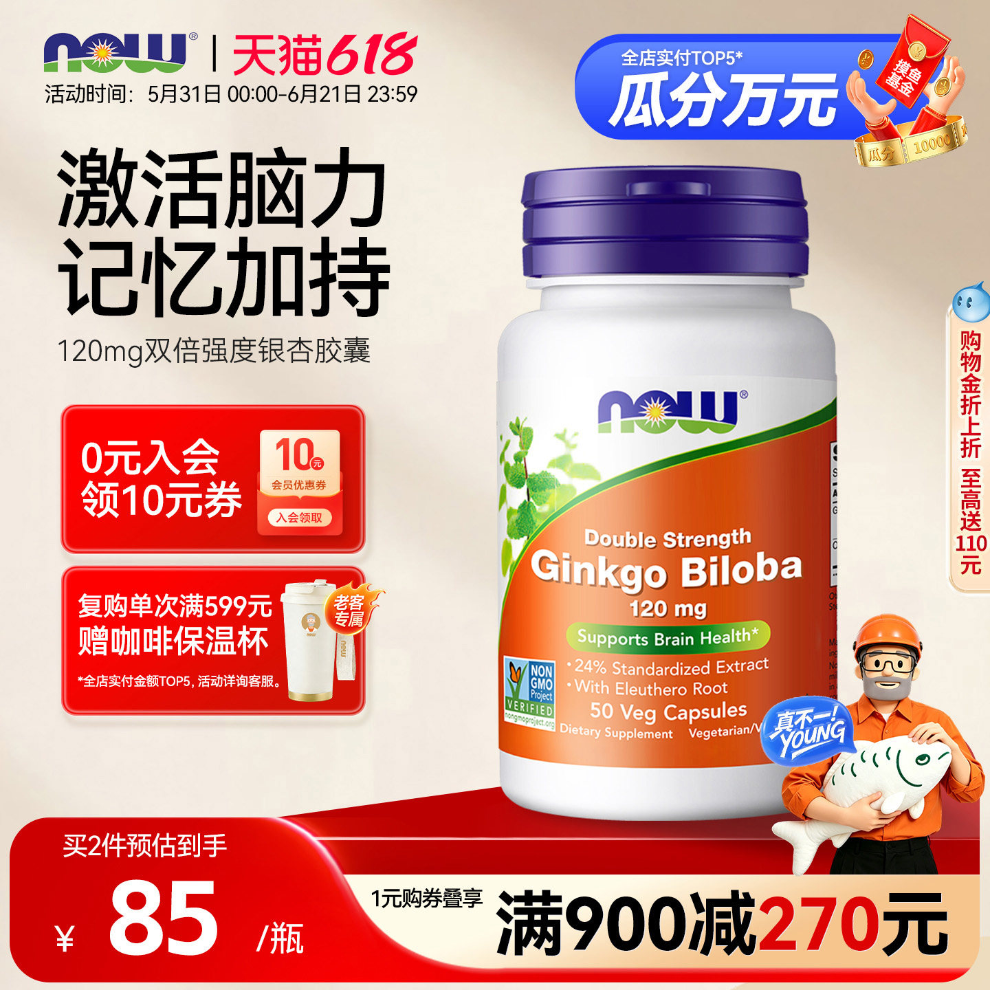 NOW双倍强度银杏叶片提取物精华胶囊加持记忆120mg美国进口诺奥