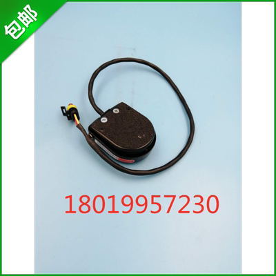 中力电动叉车脚踏板CAT.40.491-S 10A1/2HP 125VAC 10(3)A250V