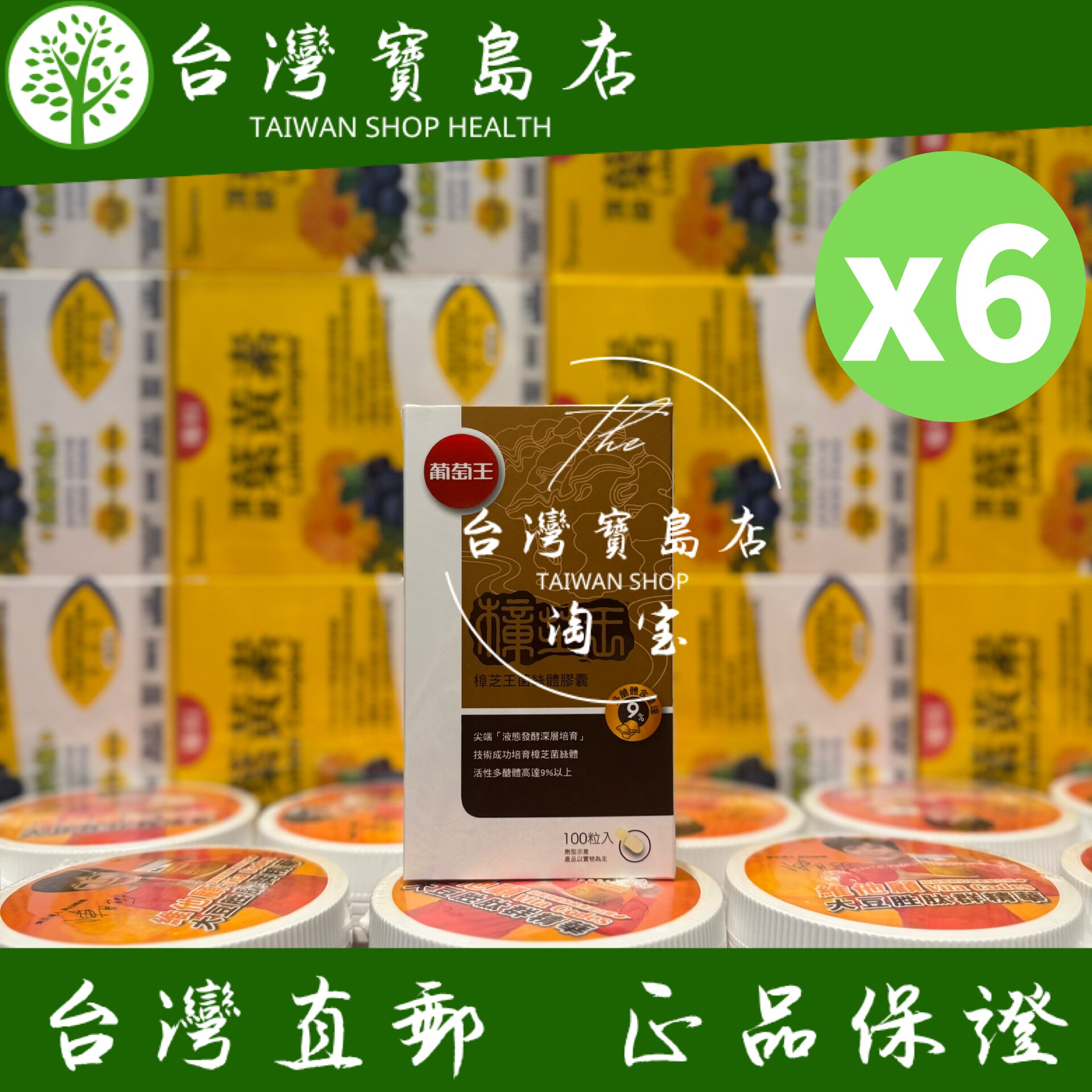 台湾正品直邮葡萄王樟芝王菌丝体胶囊x6瓶 共600粒(樟芝多醣9% ）