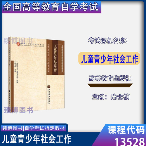 13528儿童青少年社会工作陆士桢