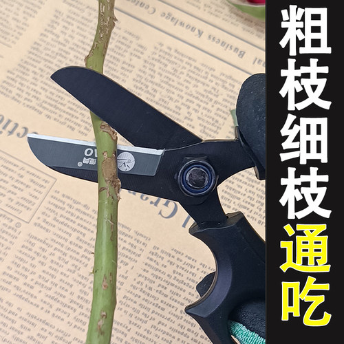 德漪花艺剪刀修枝去刺锋利加厚