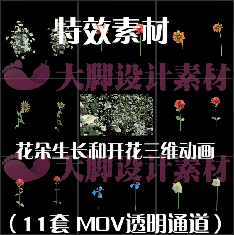花朵生长开花三维动画alpha透明通道后期合成pr/ae视频素材