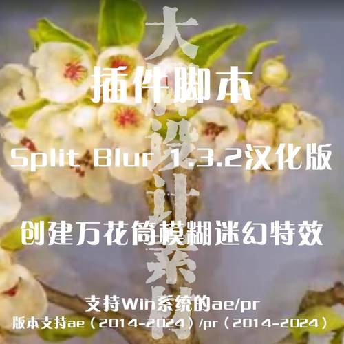 AE/PR插件 万花筒分割模糊迷幻视觉特效 Split Blur Win汉化版