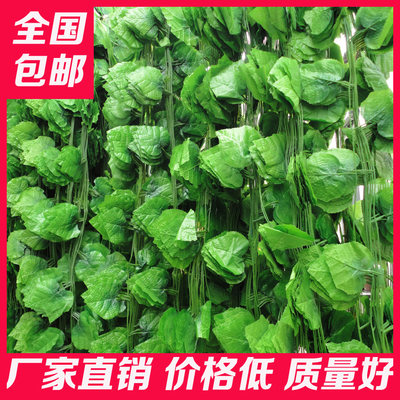 仿真植物塑料藤蔓吊顶假树叶