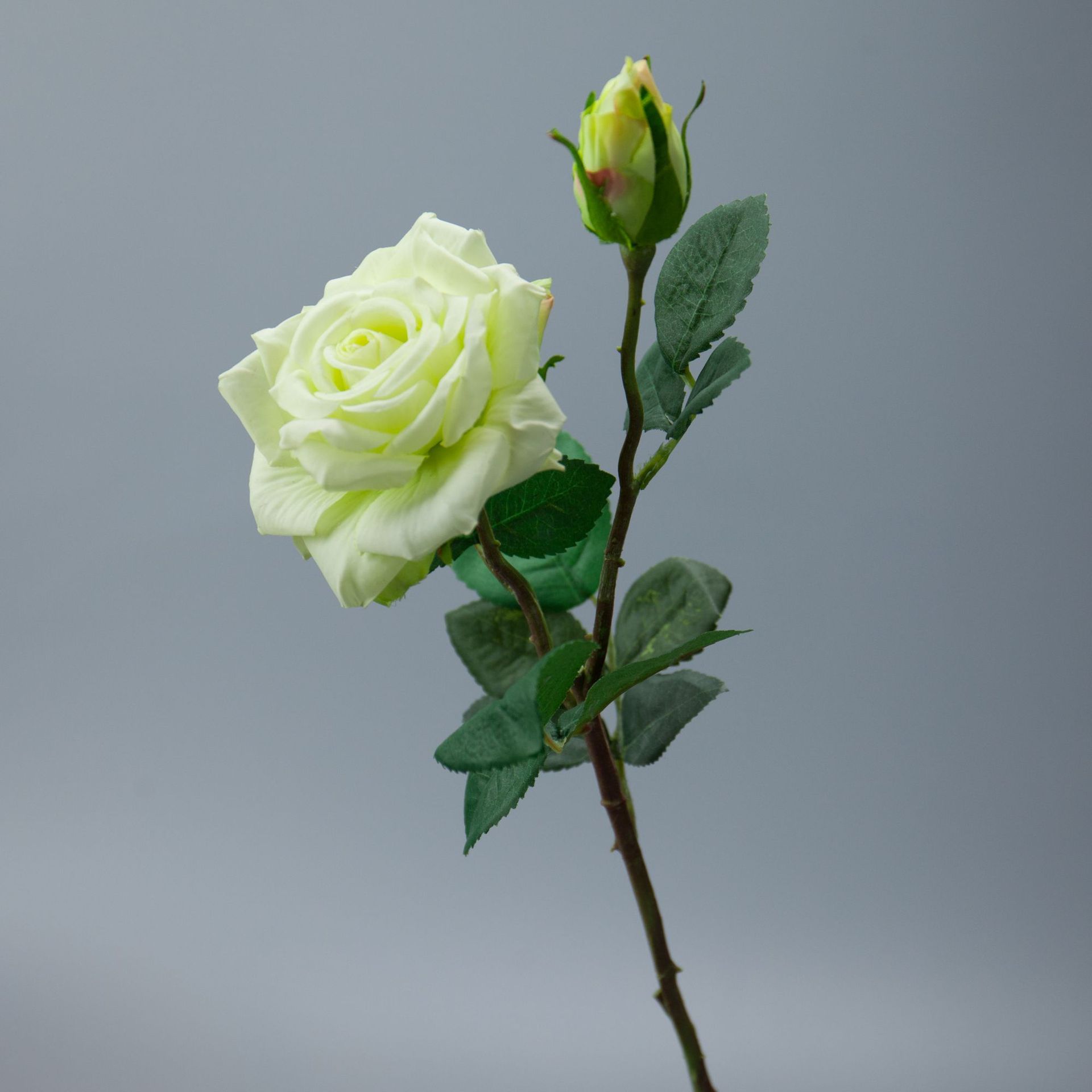 绢花玫瑰高档手感保湿玫瑰花