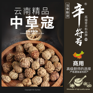 辛符号中草蔻草寇香料老蔻豆蔻草扣草叩炖肉卤肉料火锅煲汤料