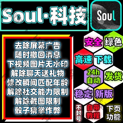 Soul辅助科技新版双模块版 安卓用 安全 稳定小号 自定义骰子猜拳
