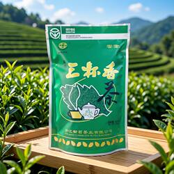 2026高山云雾茶炒青绿茶泰顺三杯香茶叶浓香型日照足袋装茶送长辈