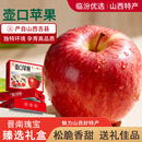 山西临汾特产壶口苹果壶口瀑布产地直供红富士苹果脆甜水果礼盒