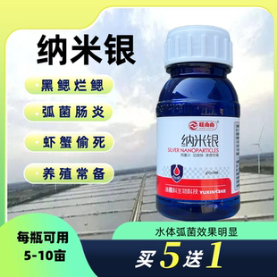 纳米银水产养殖用对虾偷死爬边空肠空胃肠炎弧菌黑鳃白便蟹塘消毒