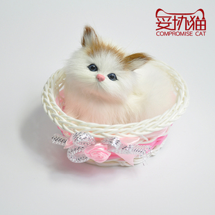 会叫仿真动物猫手工摆件卡通猫咪摆件玩具家庭饰品桌面摆件客带框