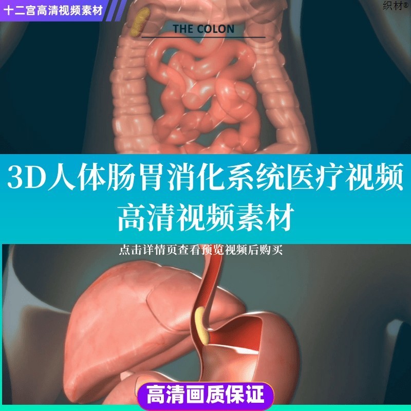 人体肠胃消化系统医疗高清视频素材