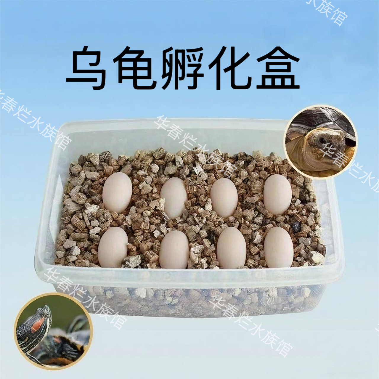 爬宠种龟蛋孵化器无菌蛭石守宫蛇爬宠缸/箱