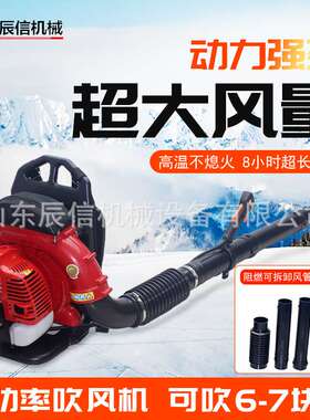 背负式大功率鼓风吹雪机 EB430型风力灭火机电启动二冲程吹风机