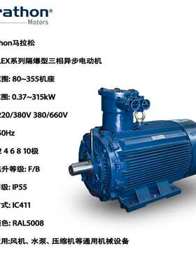 marathon马拉松LEX隔爆系列三相异步电机80-355机座风机水泵压缩