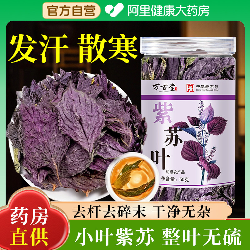 紫苏叶中草药材新鲜食用泡水喝的功效官方旗舰店正宗小叶种子泡脚