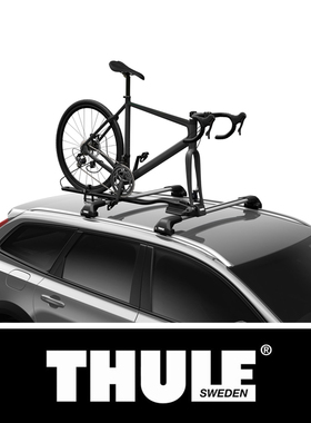 瑞典拓乐 Thule FastRide 叉式自行车架 单车架 速卸或通轴自行车