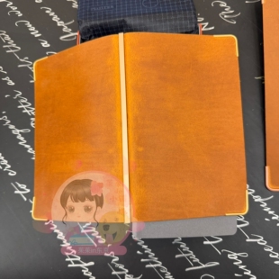 【茱茱酱日本代购】plotter 东京旗舰店 Amber 琥珀 手账