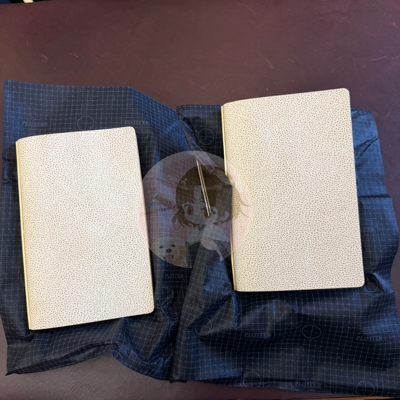 【茱茱酱日本代购】plotter 东京旗舰店 Amber 琥珀 拥抱皮手账