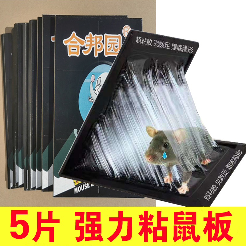 10片超强力粘鼠板魔毯捉粘大老鼠贴沾胶抓灭鼠捕鼠神器家用一窝端 居家日用 灭鼠笼/捕鼠器 原图主图