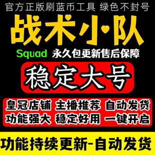 战术小队辅助ve魔法squad科技24h自动发货稳定好用 支持steam平台