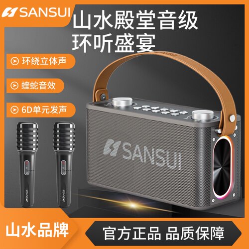 山水T93蓝牙音箱户外K歌神器