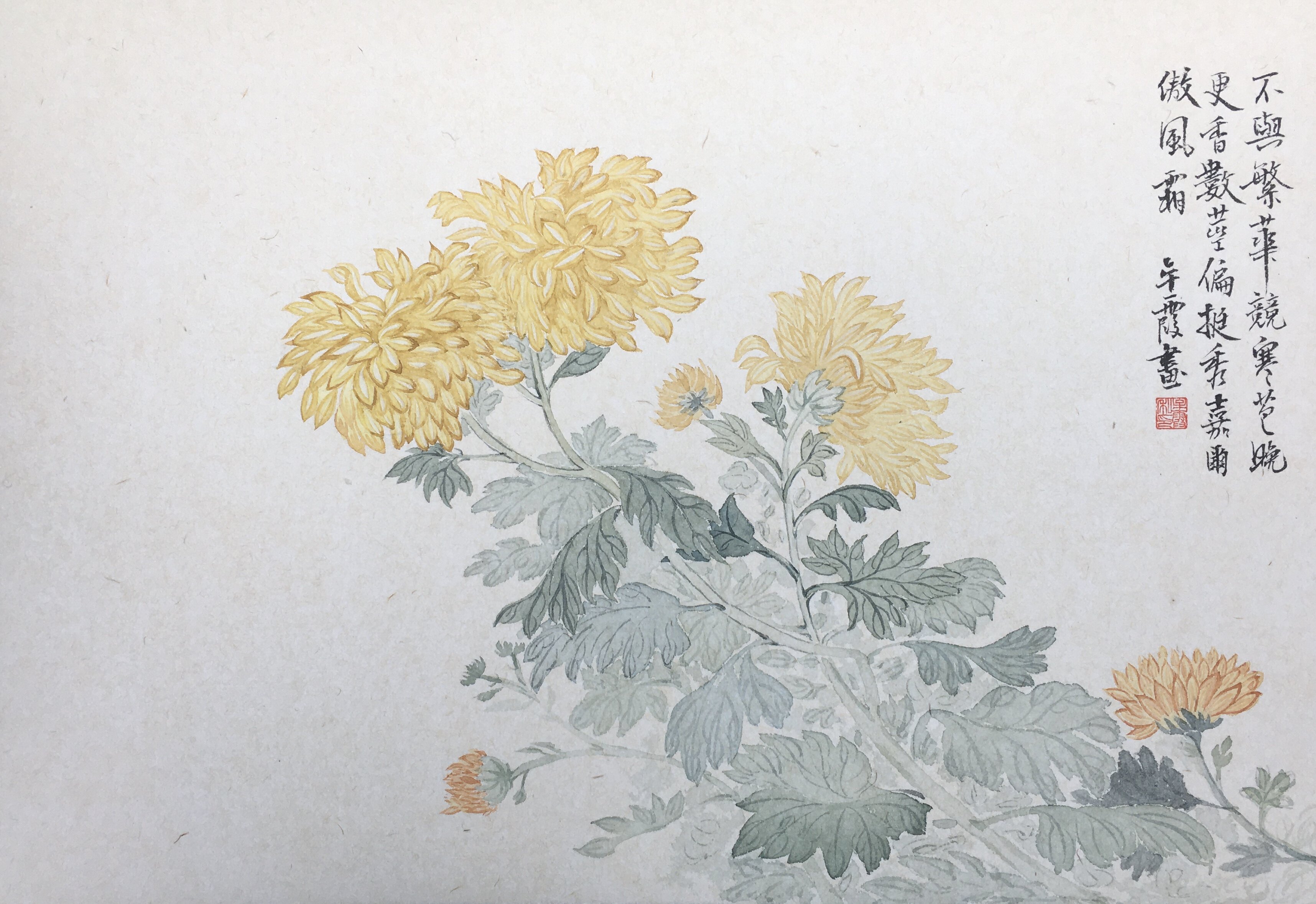 纯手绘没骨画 菊花图 客厅玄关餐厅装饰画包邮
