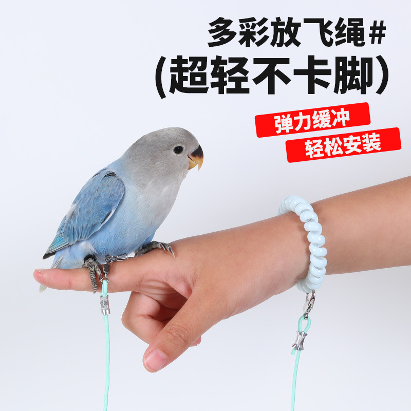 鹦鹉放飞绳不伤脚超轻训练绳虎皮玄凤牡丹八哥脚环脚链遛鸟飞行