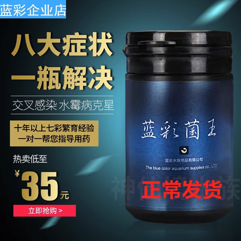 蓝彩菌王检疫七彩神仙鱼交叉感染