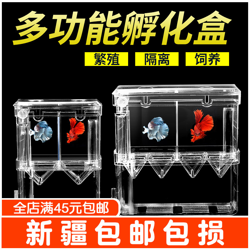 孔雀鱼繁殖盒隔离盒鱼苗孵化盒